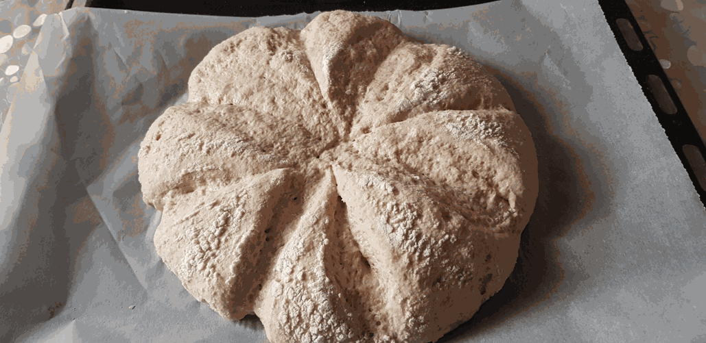 romeinse speltfocaccia 7.II roma aeterna rome recept